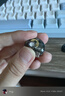 KZ  ZS10 PRO 2【職業(yè)同款】有線耳機(jī)十單元圈鐵高保真旗艦hifi音樂耳機(jī)3.5mm游戲監(jiān)聽入耳式 黑色 聲卡版【雙麥C口+USB轉(zhuǎn)接線】 曬單實(shí)拍圖