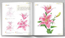 《彩鉛花卉》入門(mén)教程書(shū)籍花卉手繪畫(huà)零基礎自學(xué)填涂色書(shū)成人繪畫(huà)美術(shù)創(chuàng  )意簡(jiǎn)單鉛筆技法本花草風(fēng)景山水多 曬單實(shí)拍圖
