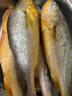 海名威 冷凍黃花魚700g/2條 寧德大黃魚地標(biāo) 海鮮水產(chǎn) 生鮮魚類  曬單實(shí)拍圖