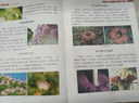 陽(yáng)光同學(xué) 2025秋新版 博物課堂三年級上冊 小學(xué)年級閱讀語(yǔ)文人教版同步教材課內外拓展閱讀必讀 百科知識文化常識 曬單實(shí)拍圖