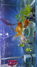 寵小帥貝殼陶瓷躲避屋魚缸底砂造景布景裝飾水族箱魚蝦繁殖窩陶罐躲避洞 貝殼【湖水藍(lán)】 曬單實(shí)拍圖
