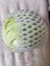 圓白菜約1kg 曬單實拍圖