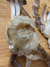 梭子蟹鮮活特大野生舟山大螃蟹海鮮新鮮冷凍海蟹水產(chǎn)飛蟹白蟹 【嘗鮮款】3-5兩/只 凈重3斤 曬單實拍圖