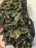 霜后桑葉茶500克桑樹(shù)葉桑葚霜桑葉新鮮無(wú)中藥材桑葉干官方旗艦店 桑葉茶【5罐】共1250克 優(yōu)質(zhì)無(wú)硫 曬單實(shí)拍圖