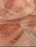 黃小漁寧德鯛魚片 3斤/6-8片 低脂鯛魚排 燒烤火鍋食材源頭直發(fā) 曬單實拍圖
