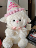 夢(mèng)泡小羊玩偶公仔生日禮物送女孩女友兒童禮物送女生毛絨玩具布娃娃 公主羊+生日帽+【禮袋】高22cm 曬單實(shí)拍圖