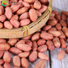 京鮮生 山東農(nóng)特產(chǎn) 大花生米 大粒生花生米 2斤 新鮮蔬菜 曬單實拍圖