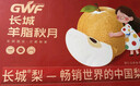 京鮮生 長(cháng)城羊脂秋月梨 正宗特大果 凈重7斤 5-9粒 生鮮水果禮盒 曬單實(shí)拍圖
