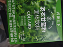 美玏奇亞籽羽衣甘藍粉代餐飽腹泡水蔬菜粉膳食纖維可搭巴西莓粉205g 曬單實拍圖