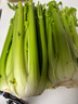 京鮮生山東榨汁大西芹新鮮蔬菜凈重9斤單顆800g+源頭直發(fā)包郵 曬單實拍圖