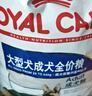 皇家狗糧 成犬狗糧 犬糧 寵物大型犬 GR26全價犬糧≥15月15KG 曬單實拍圖