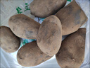 黑土豆新鮮小土豆農(nóng)家烏洋芋馬鈴薯黑金剛紫色土豆農(nóng)家蔬菜黑美人 黑土豆5斤 曬單實(shí)拍圖