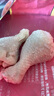 泰森（Tyson）雞琵琶腿4斤 雞肉 雞腿 雞大腿 炸雞烤雞鹵雞 燒烤冷凍生鮮食品 曬單實(shí)拍圖