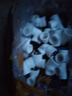 上海日豐精品PPR水管接頭配件自來(lái)水管材耐高溫防凍熱熔 熱熔加厚抗凍【25三通】5個(gè) 曬單實(shí)拍圖