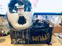 VENUM  MOUTHGUARD毒液護齒泰拳牙套 拳擊跆拳道散打護齒套籃球牙套 三層黑白 曬單實拍圖