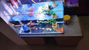 LED魚缸燈全光譜防水魚缸水草照明燈烏龜缸夾燈水族箱水草造景燈 白色7w（三色可調(diào)USB）12*9*8cm 曬單實拍圖