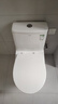 箭牌（ARROW）T32抽水馬桶虹吸坐便器小尺寸座便小戶型坐廁AEB12616M 305坑距 曬單實拍圖