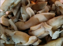【京東冷鏈】蟶王肉新鮮無(wú)沙蟶子肉冷凍竹節蟶圣子肉貝類(lèi)鮮活 蟶王肉500克*1袋 500g(凈重)  500g (約20只/斤) 曬單實(shí)拍圖