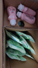 立白衛(wèi)仕天然除菌洗衣液 14.48斤家庭裝 除菌率99.99% 72h長效抑菌 曬單實(shí)拍圖