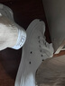 匡威（Converse）官方 Jack Purcell開口笑男女休閑板鞋小白鞋164057C 164057C 37.5 曬單實拍圖