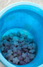 小鹿藍(lán)藍(lán)嬰幼兒鈣奶谷物棒泡芙棒磨牙兒童零食11種谷物混合 【多營養(yǎng)1+1】香蕉味+椰子味 曬單實拍圖