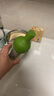 HARIO冷萃咖啡壺耐熱玻璃冷泡壺帶濾網(wǎng)冷萃壺冷泡玻璃壺箬竹綠650ml 曬單實(shí)拍圖