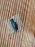 閃迪（SanDisk）64GB USB3.2 U盤 CZ550黑色 讀速100MB/s 安全加密 數(shù)據(jù)恢復(fù) 學(xué)習(xí)辦公電腦車載 高速大容量優(yōu)盤 曬單實拍圖