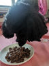 麥富迪狗糧 超肉粒凍干狗糧成幼犬中大型犬專用養(yǎng)護(hù)關(guān)節(jié) 300g試吃 曬單實(shí)拍圖