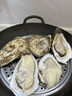 百味殿【活鮮】生蠔 乳山牡蠣 新鮮海蠣子生鮮貝類 【肉質(zhì)飽滿】3XL 凈重4斤(11-13只) 曬單實拍圖