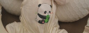 貝瑞加（Babyprints）新生兒連體衣2件裝初生男女寶寶蝴蝶衣長(zhǎng)袖純棉護(hù)肚哈衣 黃熊貓52 曬單實(shí)拍圖