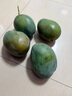 京覓四川凱特芒果新鮮水果凈重8斤單果410g+源頭直發(fā)包郵 曬單實(shí)拍圖