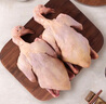 京覓 飛翔鴿系列 乳鴿凈重520g/2只 獨立裝 冷凍鹵烤鴿子肉煲湯食材 曬單實拍圖