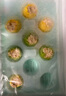 九洲豐園【3件起售】有機(jī)兒童面點(diǎn)水餃 速凍兒童早餐食品半成品早飯 兒童小燒麥270g(9只) 曬單實(shí)拍圖