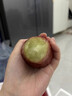 周小貝海南三亞黑金剛蓮霧水果新鮮一級精品樹(shù)上熟霧蓮孕婦脆甜順豐 精品黑金剛 5斤大果20個(gè)左右（推薦款） 曬單實(shí)拍圖