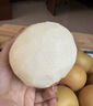 山姆伯伯秋月梨正宗萊陽梨【多地次日達】新鮮梨子香雪梨水果禮盒中秋禮品 【清甜-優(yōu)選果】丨單果200-300g 5斤裝【超劃算-80%回購選】凈4.5 曬單實拍圖