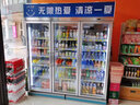 尚諾方舟立式飲料柜商用冷藏保鮮柜飲料柜蔬菜雙門三開門超市便利店冷飲冷柜風冷玻璃門陳列柜冰柜展示柜 三門【冰速節(jié)能款】1860x680x2130 標準門 曬單實拍圖