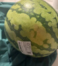 【產(chǎn)地直采】麒麟奶油西瓜 約5.5kg 曬單實拍圖