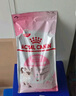 皇家幼貓貓糧 幼貓奶糕 K36 通用糧 4-12月 2KG 曬單實拍圖
