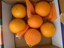 新奇士（Sunkist）澳大利亞進(jìn)口藍(lán)標(biāo)早臍橙4斤禮盒 單果180g起 新鮮水果 曬單實(shí)拍圖