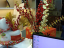 HKMW佳能機(jī)（Cann）同款2025新款光學(xué)變焦學(xué)生入門級(jí)高清數(shù)碼相機(jī)CCD同款美顏濾鏡卡片機(jī) 白色標(biāo)配+32G+便攜皮套包(伸縮鏡頭+光學(xué)變焦) 曬單實(shí)拍圖
