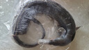 寧波舟山特產(chǎn)整條微咸風(fēng)鰻筒鰻魚(yú)干咸魚(yú)當(dāng)季漁民新曬魚(yú)鲞海鮮干貨 本地風(fēng)鰻（整條4斤上）1條 曬單實(shí)拍圖