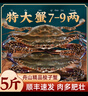梭子蟹鮮活特大野生舟山大螃蟹海鮮新鮮冷凍海蟹水產(chǎn)飛蟹白蟹順豐 7-9兩/只 【凈重5斤特大梭子蟹】 曬單實(shí)拍圖
