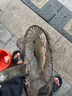 金屬線(xiàn)杯紡車(chē)輪路亞漁輪遠投海竿磯釣專(zhuān)用魚(yú)輪釣魚(yú)輪子斜口超 【漁輪】NX黑紅：5000 曬單實(shí)拍圖