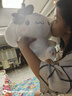 貽貝玉桂狗玩偶超大斜挎包月桂兔子毛絨送生日禮物公仔掛件日系大耳狗 A36-背包玉桂狗 40CM 曬單實(shí)拍圖