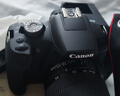 佳能EOS 2000D 單反 2000D 18-55mm III 閃迪256GB SD內(nèi)存卡 讀速200MB/s 寫速140MB/s V30 U3 C10 曬單實(shí)拍圖