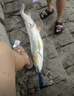 FGHGF控魚器路亞鉗套裝路亞配件不銹鋼夾魚器控魚器多功能釣魚裝備 彩鈦路亞鉗+彩鈦控魚器套裝【多功能不銹鋼】 曬單實拍圖