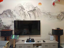 山水（SANSUI） FK101家庭KTV音響套裝全套家用會(huì)議卡包音響電視卡拉OK一體機(jī)音箱套裝語音 FK121音箱+功放+20吋3T點(diǎn)歌機(jī) 曬單實(shí)拍圖