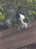 HIKVISION?？低暠O(jiān)控攝像頭400萬2K高清全彩夜視AI人形檢測語音對講POE網(wǎng)線室外防水監(jiān)控器K24H-LT 4MM 曬單實拍圖
