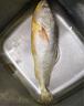 福寧港【冰鮮】寧德大黃魚2斤/條 黃花魚 生鮮魚類 地標(biāo)產(chǎn)品 源頭直發(fā) 曬單實(shí)拍圖