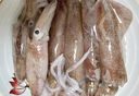 野生海捕墨魚章魚 八爪魚帶籽筆管魷魚 無污染海兔子 軟足類 八爪魚 1斤(凈重)  1斤 曬單實拍圖